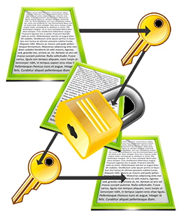 Scripts and Files Encryption