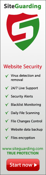 Website security, detecting malwares on the website and removal services, website backup services, daily website file scanning and file changes monitoring