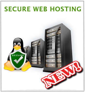 website security new